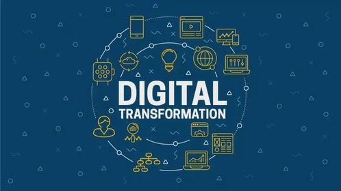 集成与辅助运营组合 赋能伙伴，携手推动行业数字化转型