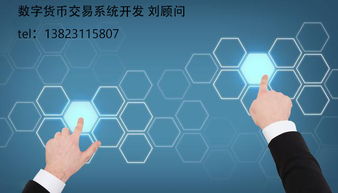 Q币的分类与数字技术服务