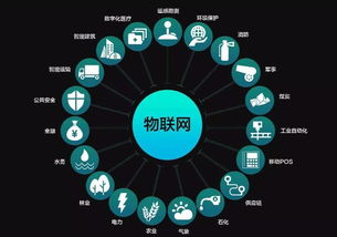 数字科技 点亮智慧生活，技术服务新篇章